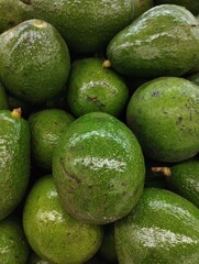 Close-up photo of a pile of avocados (Persea americana) in a supermarket, this fruit contains vitamins and minerals which are good for our heart.