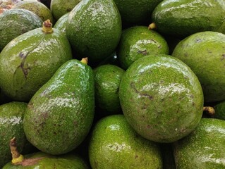 Close-up photo of a pile of avocados (Persea americana) in a supermarket, this fruit contains vitamins and minerals which are good for our heart.