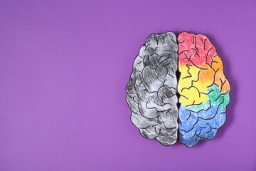Logic and creativity. Paper brain with one colorful hemisphere and another grey on purple...