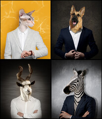 Businessmen with faces of different animals on color background. Set of portraits