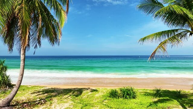 Aerial view drone shot fly to sea,Sunny sky and Palm trees in summer day.Flying around a palm tree,Coconut trees on beach,Summer background