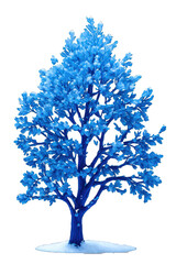 Obraz premium Magical blue tree, Transparent background