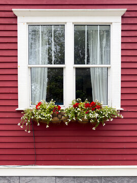 The Exterior Of A Vibrant Red Color Wooden Wall With A Double Hung Glass Window With White Curtains. There's White Trim On The Building. A Flower Box Hangs Under The Window With Red And White Flowers.