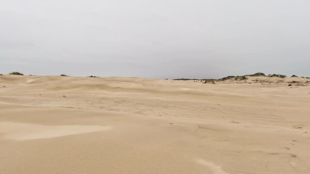 Wide Aerial shot of dune fencing to control wind erosion and encourage dune stability at the South Padre Island Coast 