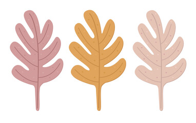 Three autumn leaves, fall foliage, color vector illustration set in boho style