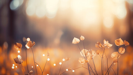 Autumn forest shining in the late afternoon sunset