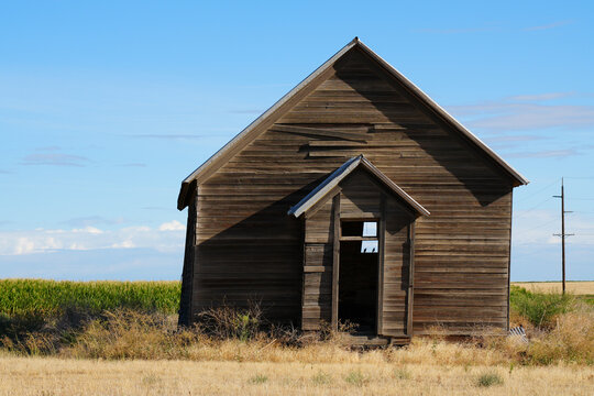 Two birds roost in an abandoned schoolhouse