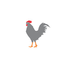 Chicken rooster silhouette