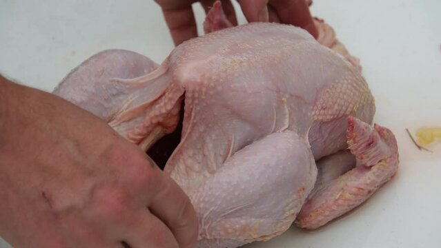 Close up of freshly processed broiler or chicken from organic back yard farm.