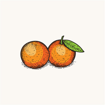 Orange logo design