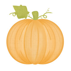 pumpkin illustration autumn