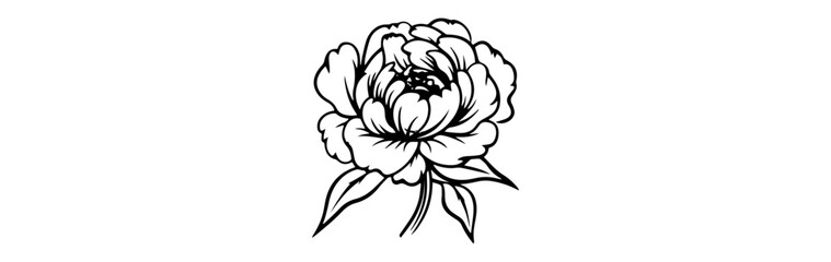 hand drawn illustration of a sketch of a flower