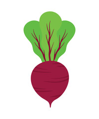 Red Beet Icon Clipart Vegetable Cartoon Doodle Vector Graphic Illustration