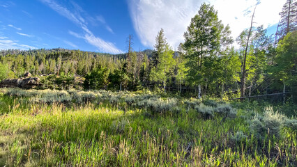 Adams Falls Colorado Views in the morning