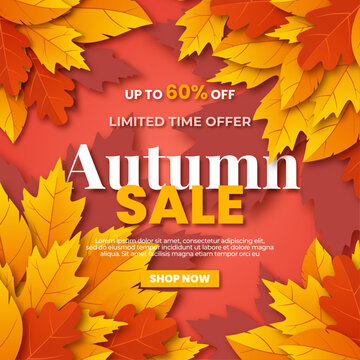 Limited time offer autumn sale vector banner design with pile of leaves. Layout for social media post, flyer, and ads.