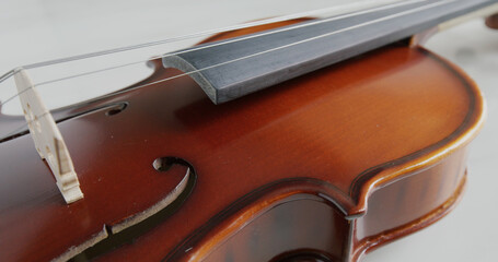 Violin string and bridge close up