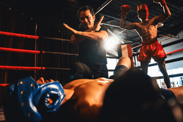 Boxing referee intervene, halting the fight to check fallen competitor after knock out. Referee pauses the action for boxer fighter's safety after KO with winner posing in background. Impetus