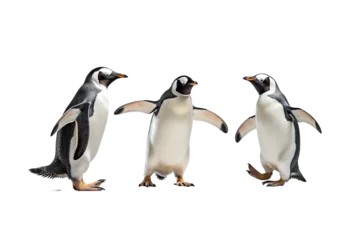 Deurstickers Cute Penguins on a white background studio shot PNG © JetHuynh
