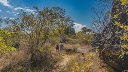 A dirt path winds among the yellowed grass. Two people with backpacks are walking along the trail. Gray limestone karst rocks are visible on the roadside. Madagascar. The way to Tsingy De Bemaraha