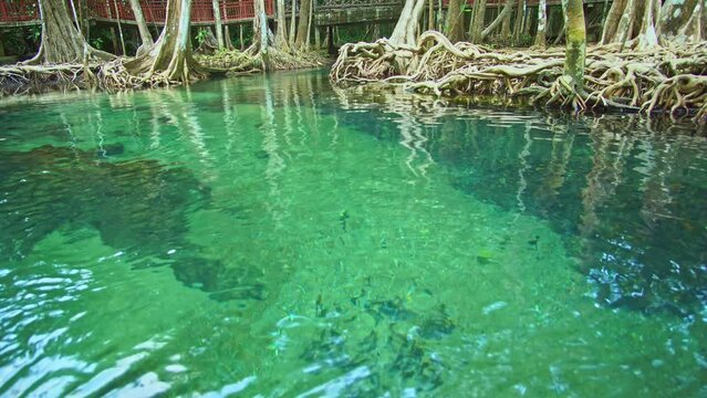 .Klong Song Nam means fresh water flowing from the mountains mixed with sea water in the area of the forest .along the sea that is complete. .The color of the water is very beautiful emerald green...