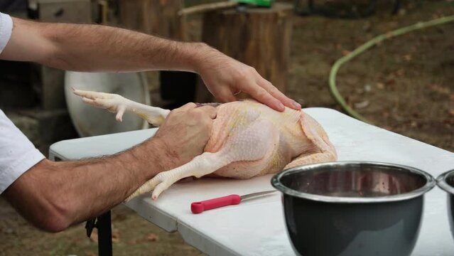 Close up of chicken being processed or removed from guts or internals
