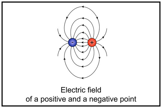 Electric field of positive and negative point.  Electric field lines always point from positive charges and toward negative charges.