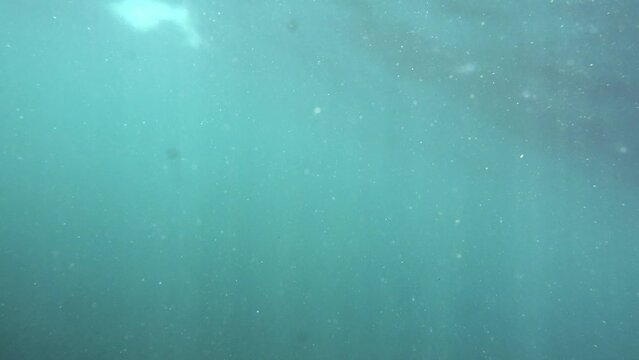 Slow-motion underwater view of ocean life with sun rays filtering through.