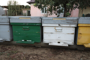 beehive made from wood