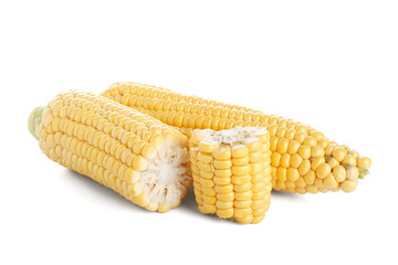 Fresh corn cobs and kernels isolated on white background