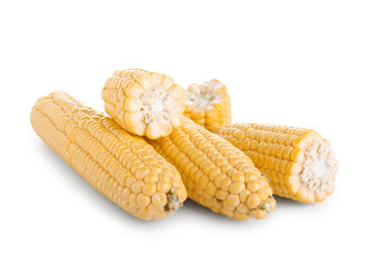 Fresh corn cobs isolated on white background