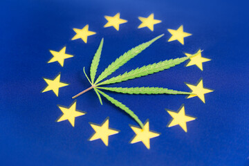 hemp leaf on background of the europe flag. Concept of legalization and changes in legislation...