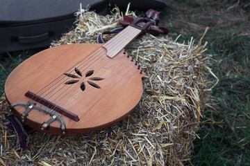 Bandura. Traditional Ukrainian musical instrument.