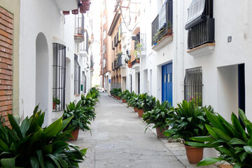 Narrow streets in the old quarter of the Mediterranean town of Blanes in the province of Barcelona,...