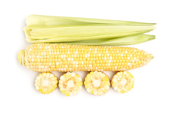 Fresh corn cobs on white background
