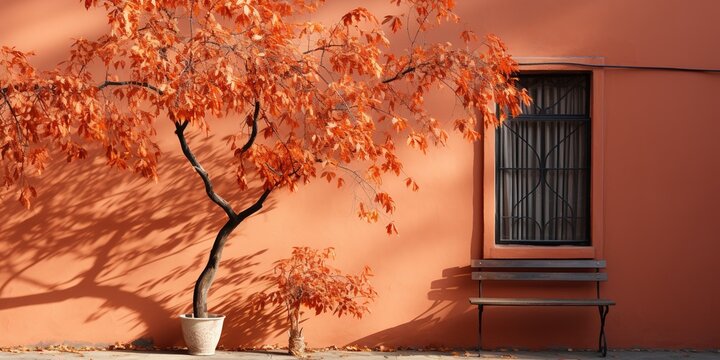 Fototapeta The shadow of the leaves on the red orange brick wall. House, sidewalk. Exterior street outdoors