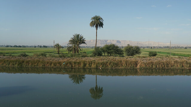 Nile tributary riverbank fields Egypt near Luxor