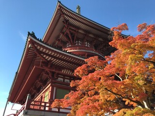 Naklejka premium 紅葉と伝統