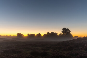 Sonnenaufgang am Pestruper Gräberfeld.