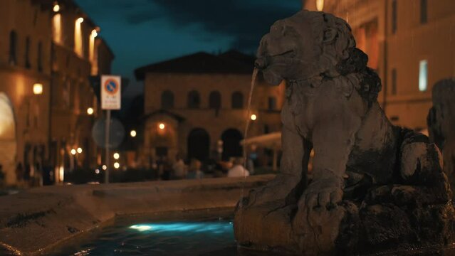 Assisi fontana della piazza del comune, visione notturna