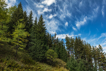Fototapeta premium landscape with sky