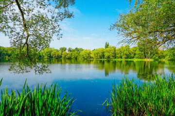 Fototapeta premium Ölpersee near Braunschweig in the Okeraue. Landscape by the lake with the surrounding nature. 