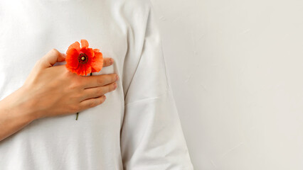Hand on chest with red poppy flower on neutral white background. Military, Veterans day, remembrance and reconciliation concept