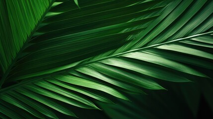Palm leaves background, AI generated Image