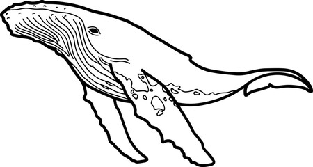 Obraz premium 고래