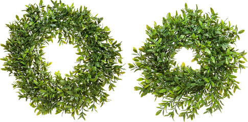 Wreaths of plants and flowers with transparent background