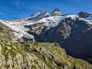 Fototapeta na wymiar View of the SAC Glecksteinhütte and the Oberer Grindelwald Glacier and Pak Schreckhorn. Beautiful hut hike in the Bernese Oberland. High quality photo