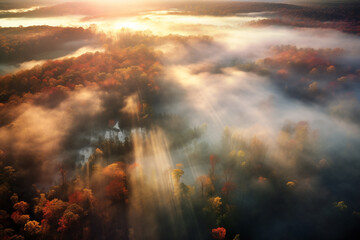 Fototapeta premium Aerial view landscape the forest with sun behind the mist all around, colorful autumnal on morning light.