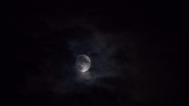 おぼろ月夜」の写真素材 | 154件の無料イラスト画像 | Adobe Stock
