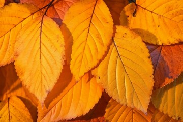 Fototapeta premium Autumn leaves background. Generate Ai