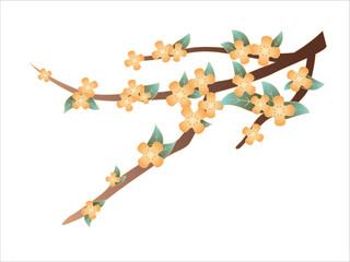 Yellow flowers blooming on the branches. Osmanthus. Chinese style illustration elements.